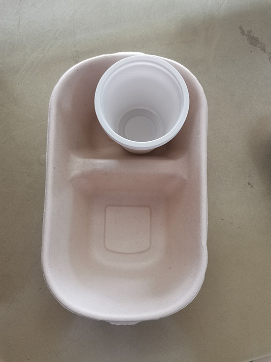 Biodegradable lunch box tableware