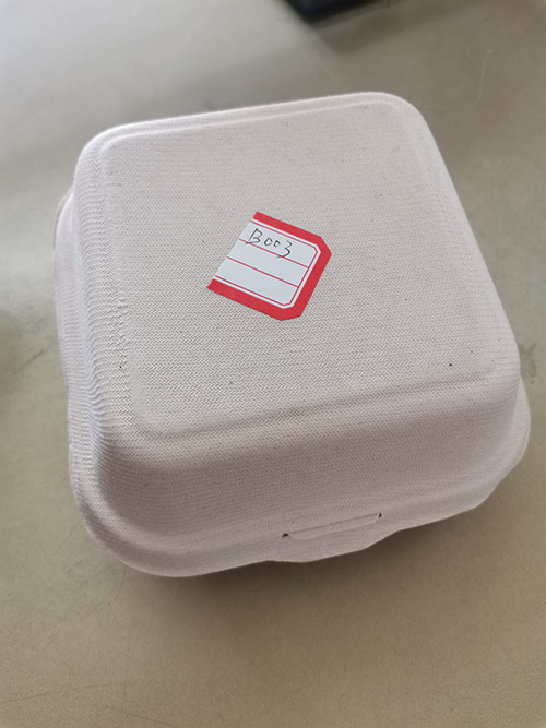 Biodegradable lunch box tableware
